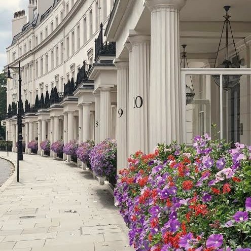 A white stucco terrace in Belgravia, London, with window boxes in flower, daylight